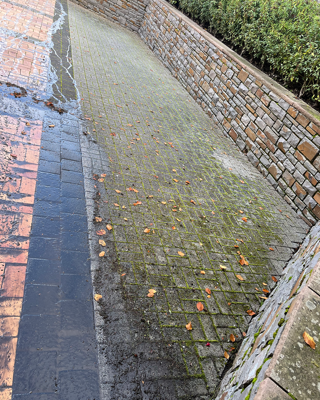 Hecke vorher